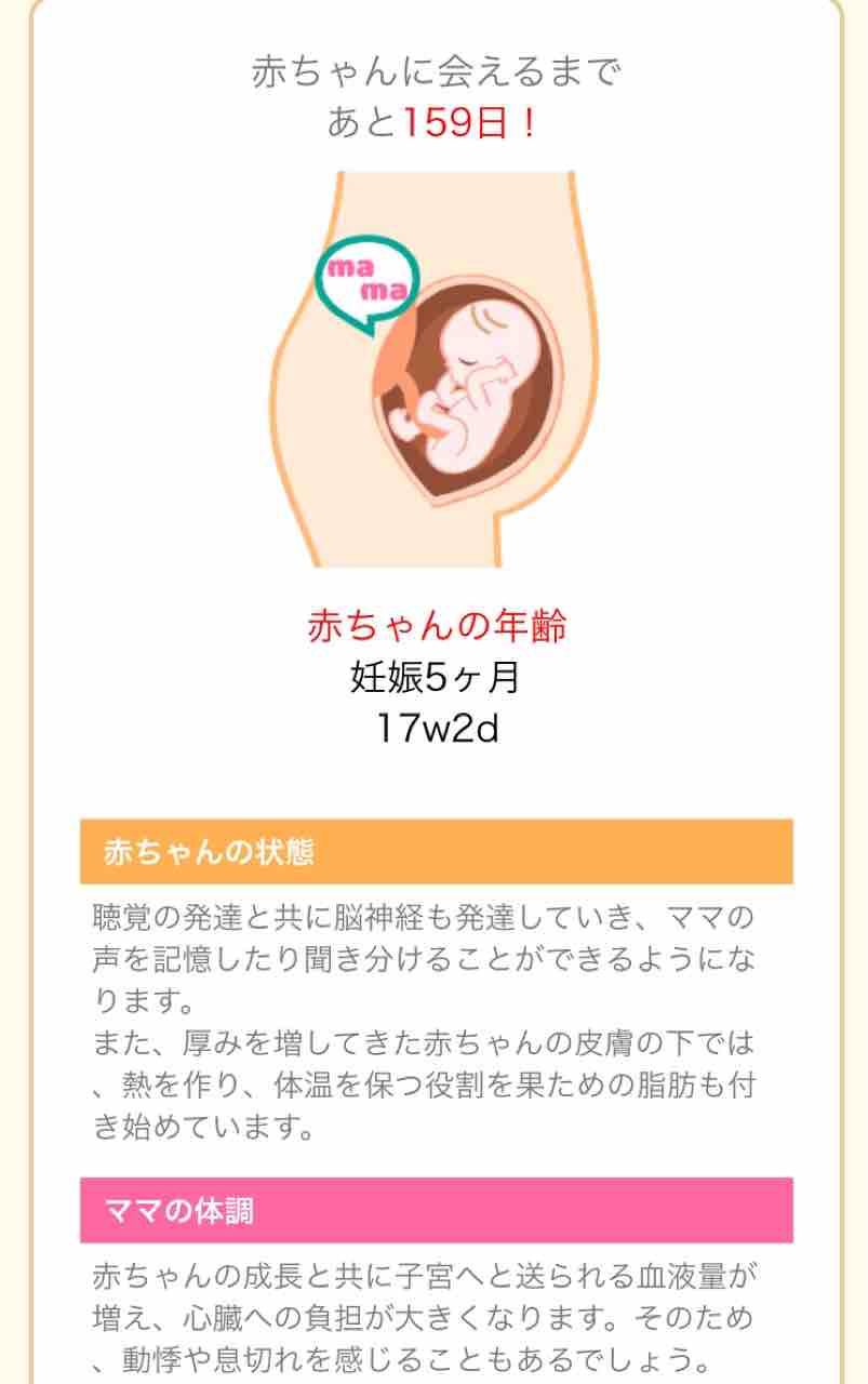 17週目の赤ちゃんと吉牛 おなか日記 左卵巣摘出から体外 顕微 で妊娠記録