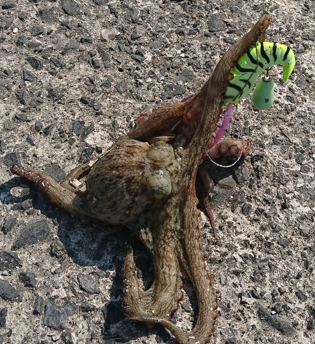 俺の目に映る絶望世界