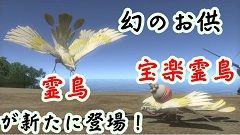 幻のお供（霊鳥・宝楽霊鳥）が新たに登場！240