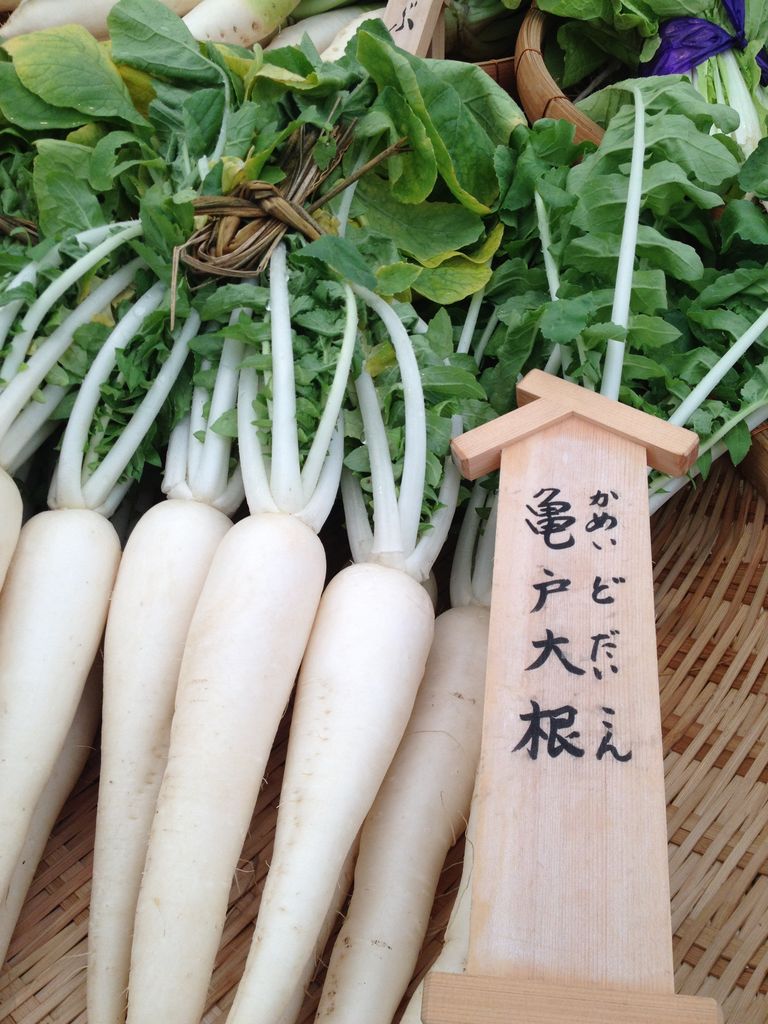 亀戸大根 かめいどだいこん 江戸東京野菜の かわいい畑