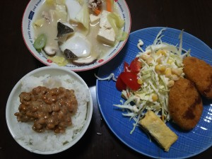 ケチケチせずに年間100万円貯めた節約ズボラ主婦の1日1人500円の予算で安くない食卓その3