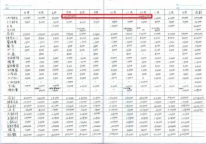 ボーナスの家計簿のつけ方