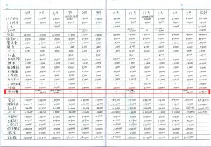 特別費の家計簿のつけ方（口座引き落とし）