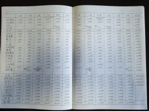 撮影用年間の家計簿