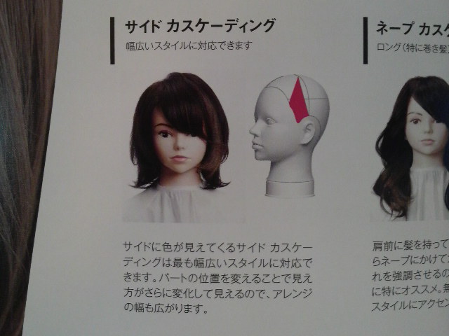 カスケーディング カラー ｃａｓｃａｄｉｎｇ ｃｏｌｏｒ プロが教えるヘアケア講座