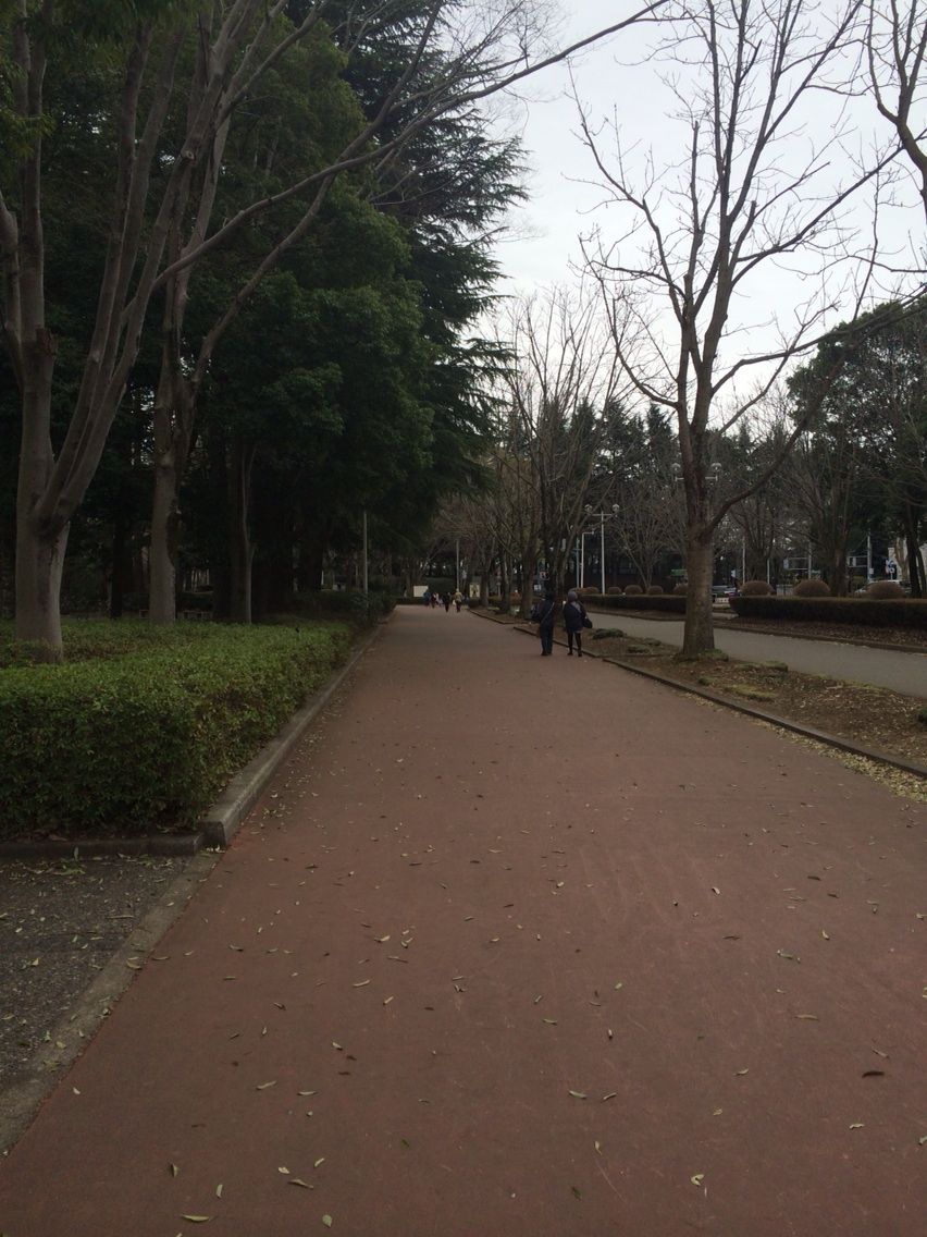 栃木県総合運動公園でスケートです Sake Skateboarding Trip Cooking And I のブログ