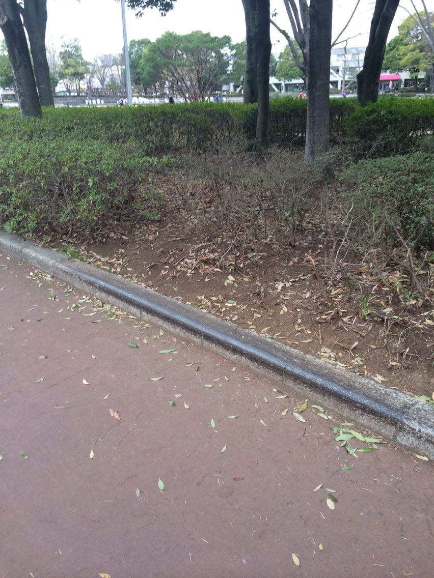 栃木県総合運動公園でスケートです Sake Skateboarding Trip Cooking And I のブログ