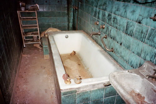 禁断の食事 カニバリズムとアルミン マイヴェス Armin Meiwes 最高の国