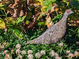 PXL_20240905_230805137