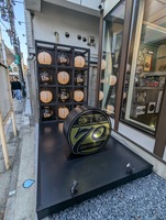 PXL_20241122_044246878