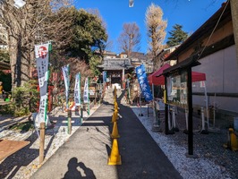PXL_20230103_032844414