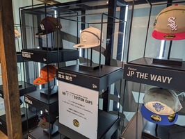 PXL_20241122_044359381