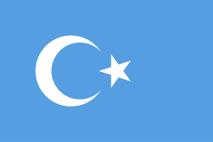 Kokbayraq_flag.svg