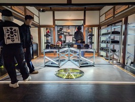 PXL_20241122_044317673