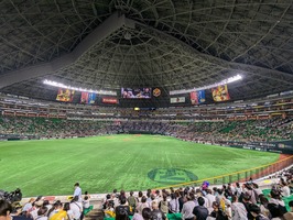 PXL_20240622_042207927