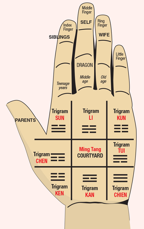 palm reading