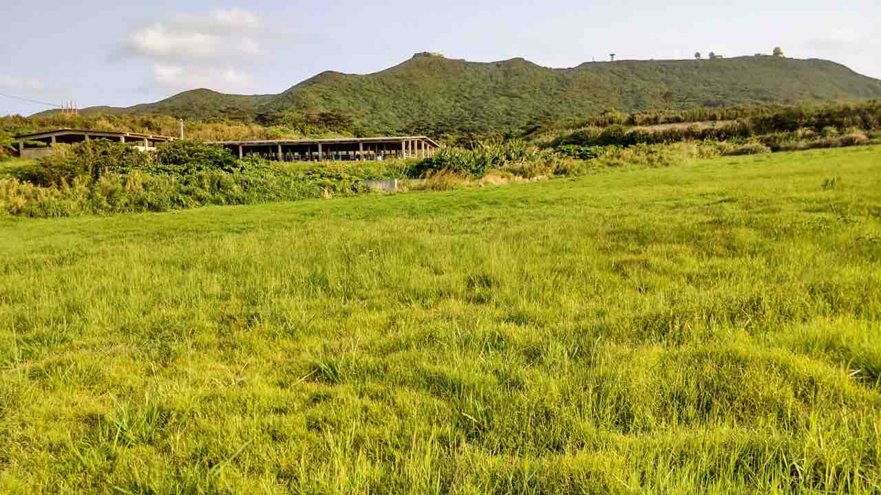 Meadow Road 　牧草地の道 豊富町大規模草地育成牧場 | 北海道Style
