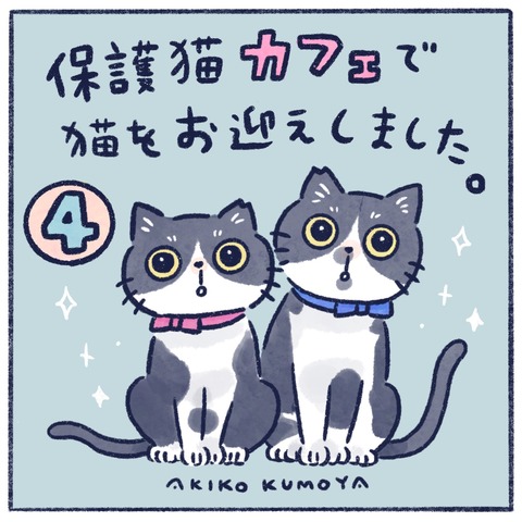 猫漫画 イラストレーターくもやあきこの毎日が推しごと Powered By ライブドアブログ 猫漫画 イラストレーターくもやあきこの毎日が推しごと Powered By ライブドアブログ
