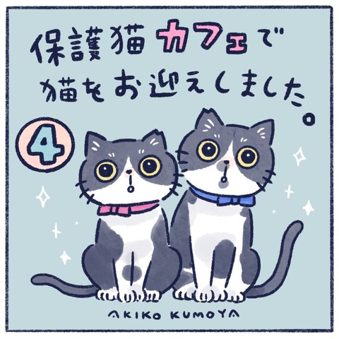 猫漫画 イラストレーターくもやあきこの毎日が推しごと Powered By ライブドアブログ