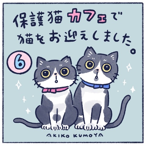 猫漫画 イラストレーターくもやあきこの毎日が推しごと Powered By ライブドアブログ 猫漫画 イラストレーターくもやあきこの毎日が推しごと Powered By ライブドアブログ