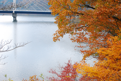 紅葉と橋