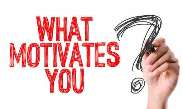 理系大学院に進学するときに考えること 志望理由書編 はるたぬき ぽんぽこに生きる