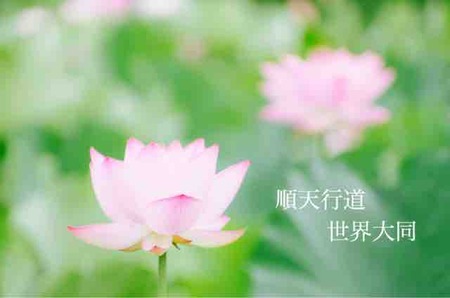 38E75F55-B12B-4B5B-A962-421BCC8B9C22
