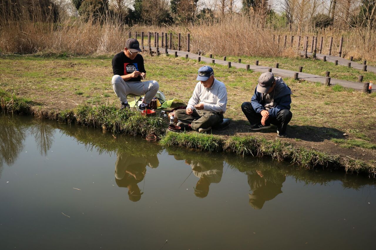 見沼田んぼ 川口自然公園 野鳥の宝庫 Akimo散策日記 見沼田んぼ 川口自然公園 野鳥の宝庫 Akimo散策日記