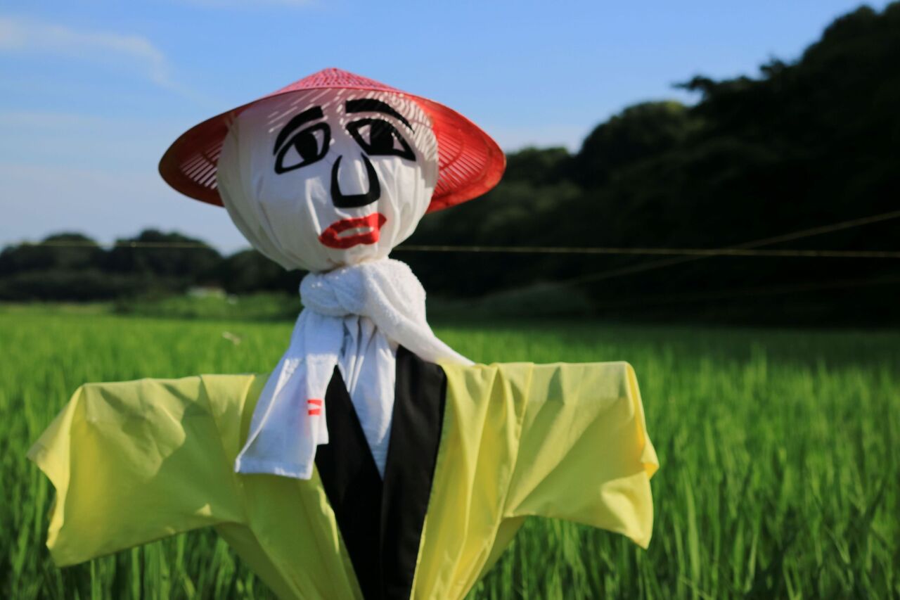 akimo散策日記 : 見沼の一人 案山子