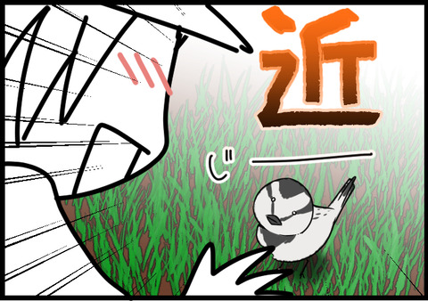 フィッシングエリアj