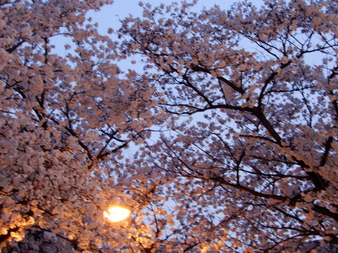 DSCN2262