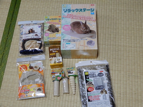 DSCN1529