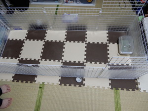 DSCN1932