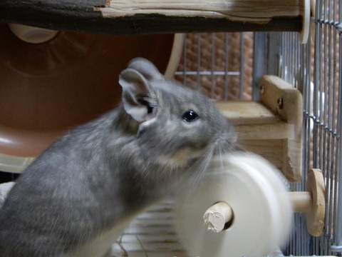 DSCN2277