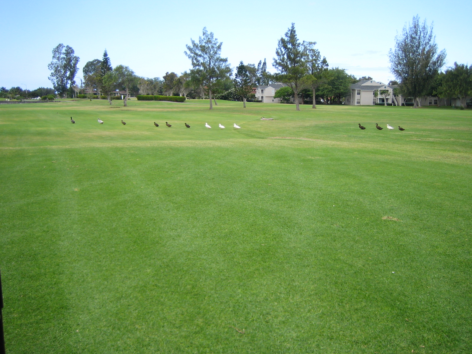 ハワイのゴルフ場は素晴らしい フィリピンで悠々生活