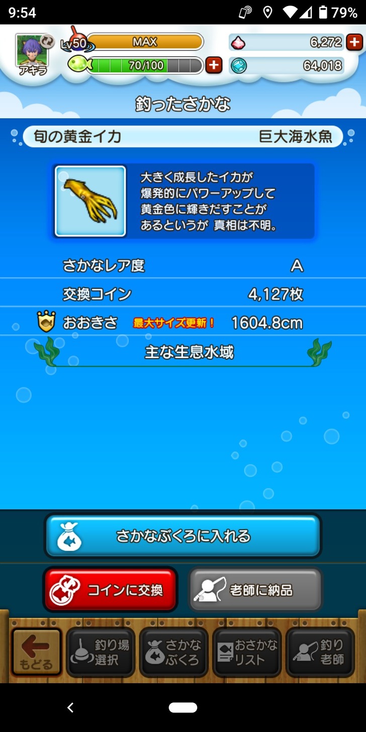 20221113旬の黄金イカ・キングサイズ