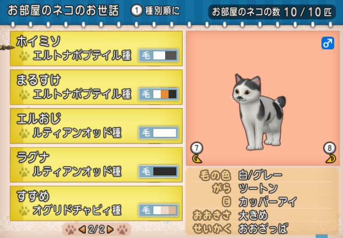 ネコに名前を付けて遊ぼう どらくえだいすき ドラクエ10