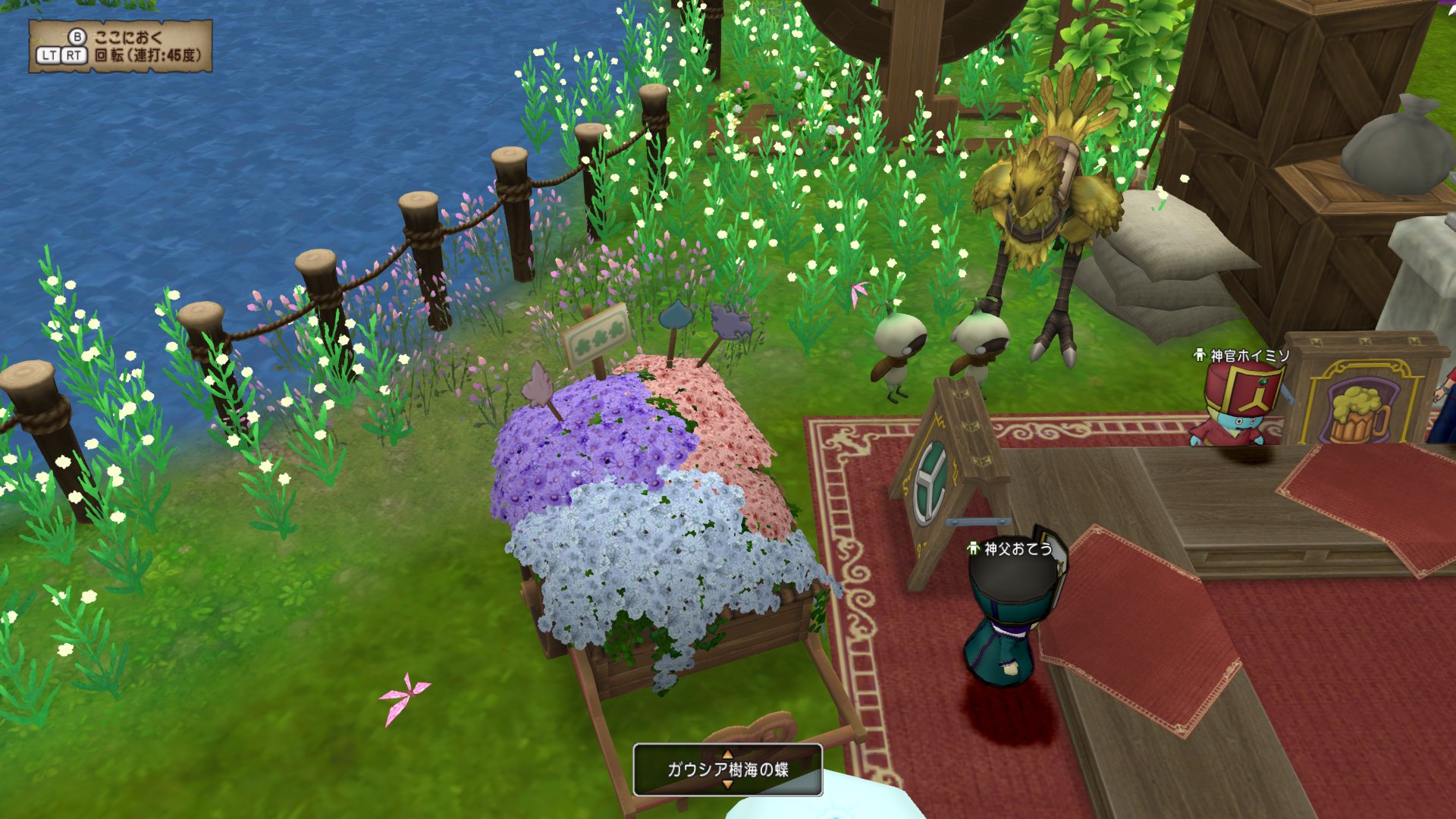 池まわりにもうちょっと欲しいような どらくえだいすき ドラクエ10