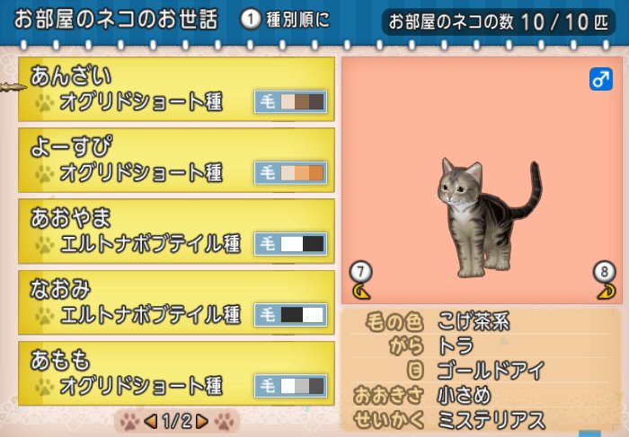 ネコに名前を付けて遊ぼう どらくえだいすき ドラクエ10