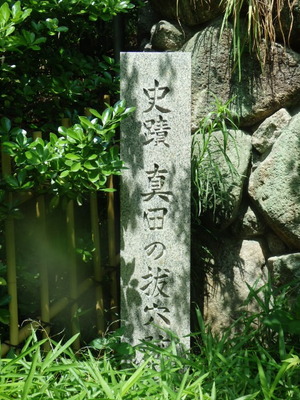 P5310921