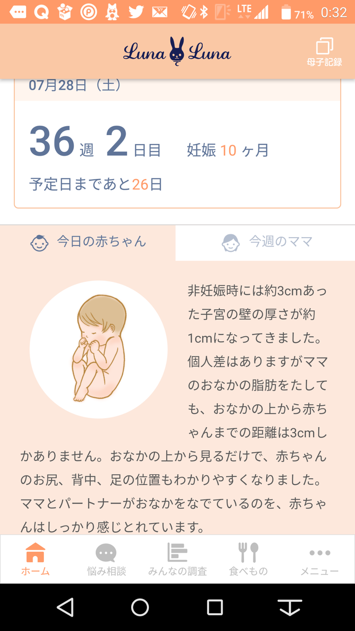 36週 ちびの記録 臨月 10ヶ月 ｃｒａｚｙ ｃｕｓｔｏｍ