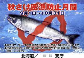 ダウンロード (14)
