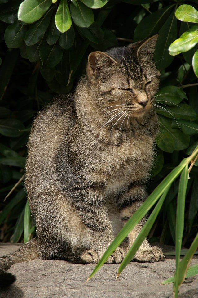 08 08 22 稲毛海浜公園のコたち No Title 2nd Season 08 08 22 稲毛海浜公園のコたち No Title 2nd Season