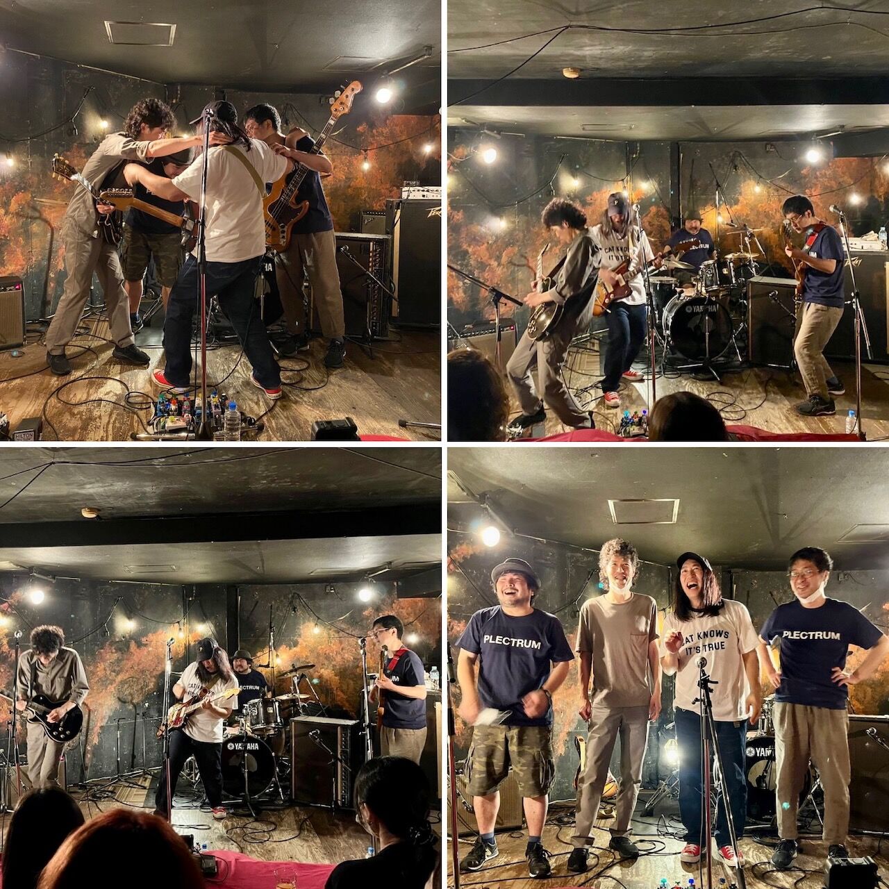 220718plectrum