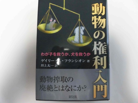CIMG0461