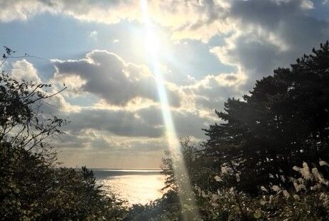 2011���� (2)