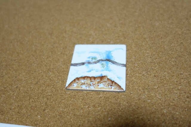 DSC05208