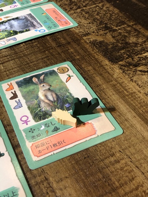 �ץ쥤���ͻ�