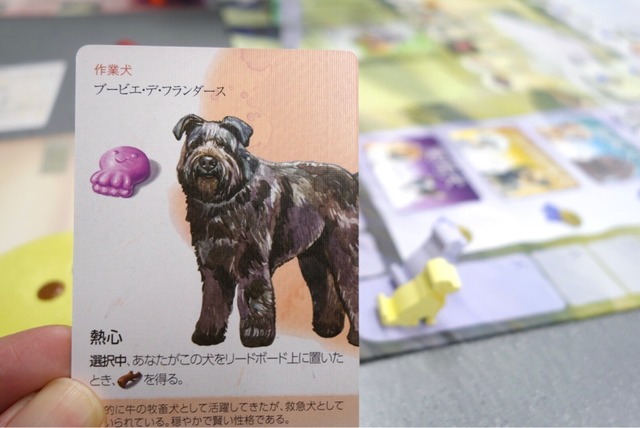 �ץ쥤���ͻ�0