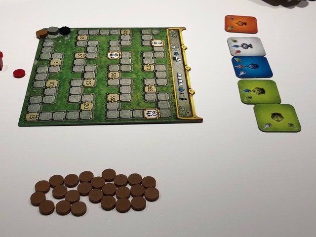 �ץ쥤���ͻ�79